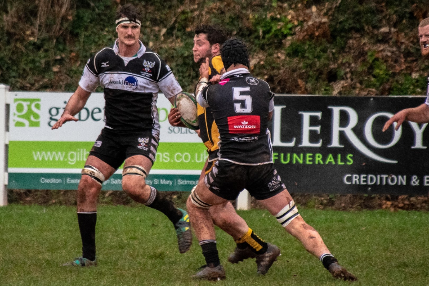Falmouth Rugby Club Photos of Crediton vs Falmouth